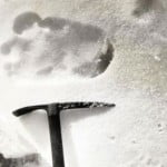 Sand Yetis Keep South Atlantic Beaches Wild