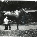 Moose Milking Competition Slated for December