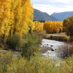 Aspen on the Lake Fork