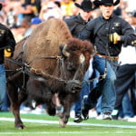 Ralphie to start at fullback against Utah