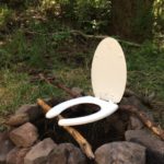 The throne in the woods