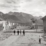 Vice Squad Strikes Gold,  Parrot City in Flames