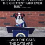 And no leash laws on Wall Street