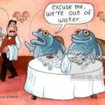 Fish Alarmed by Cyclical Drought