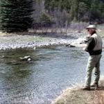 Uncompahgre To Run South in November