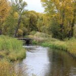 Gunnison close to gold