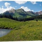 State to burn excess run-off