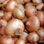 Onion Recount Concluded