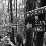 Patchouli oil spill devastates hippie stronghold