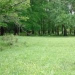 BIGFOOT, MISSING LINK CHECK IN FOR FALL