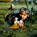 Deadline nears to write off lost golf balls