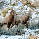 Highway 50 Toll Road Opens Today