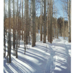 Last chance for winter?