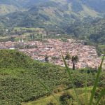 Jardin from up above