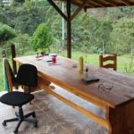 Yellow Flagged in an Andean Paradise