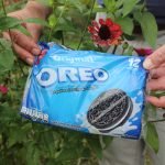 Happy 4-20 from Antioquia, Colombia