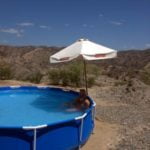 Bedwedder-Toole looks solid on Bingo Platform