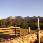 Summer Yields to Fall